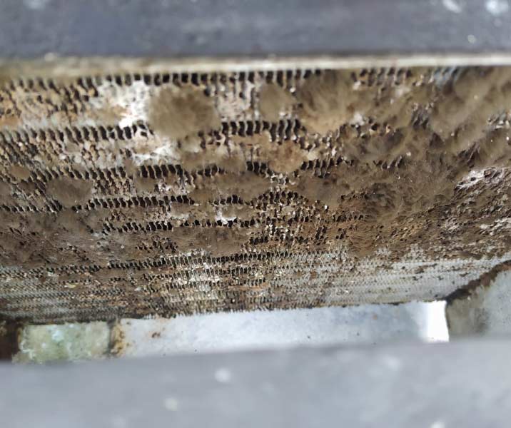 Evaporator avant