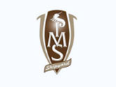 Logo IMS